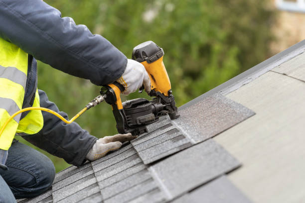 Best Skylight Installation and Repair  in Cold Springs, NV