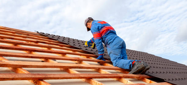 Steel Roofing in Cold Springs, NV